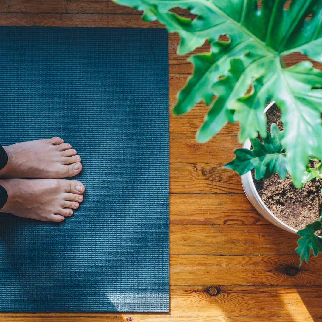 Top-down view of bare feet on a blue yoga mat beside a potted plant on a sunlit wooden floor