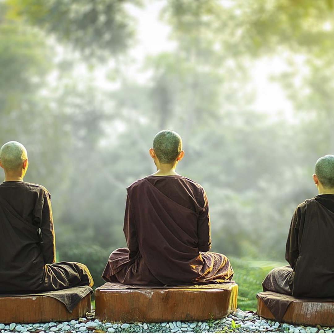 Three monks sitting cross-legged meditating on wooden cushions in a sunlit, misty forest